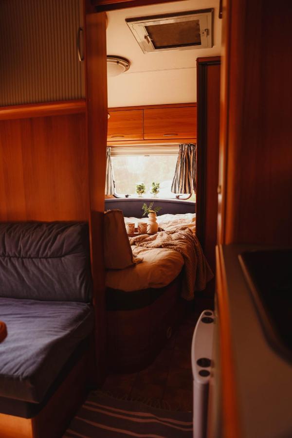 Pomiedzy Jeziorami - Kojle Camp Campsite